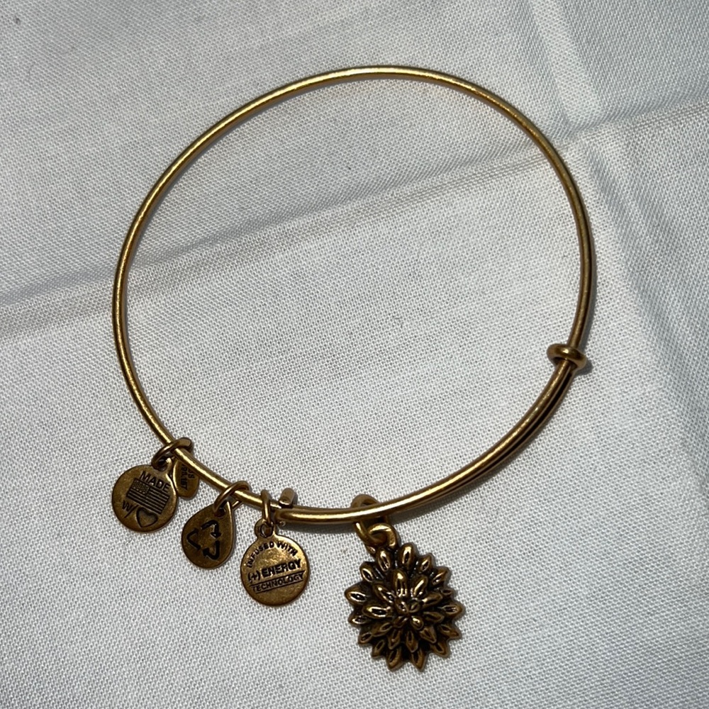 Alex & Ani charm bracelet